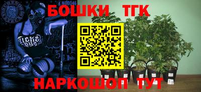 индика Балашиха